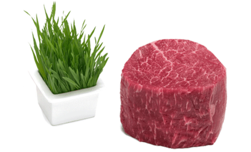 Boucherie De Labenne Boucherie Labenne Kisspng Angus Cattle Meat Beef Tenderloin Fillet Fillet Steak 5b0c53bdd9a901.6548511915275345258916